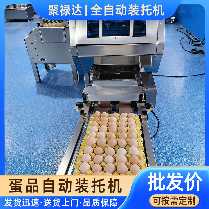 全自动鸡蛋鸭蛋装托机保洁蛋包泥蛋装托机不锈钢蛋品装托机设备