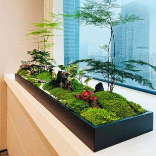 铁艺造景花盆长方形桌面景观绿植苔藓托盘花器室内装饰不锈钢花槽