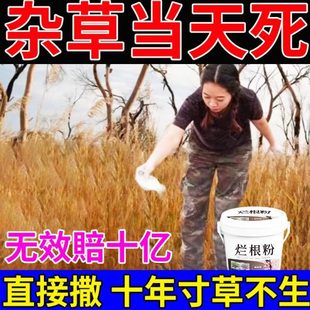 除草神器 环泰铜除草烂根剂一扫光三年不长草烂根粉强力灭树粉散装