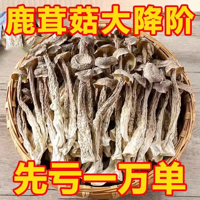 鹿茸菇干货500g包邮特级鹿茸菌无硫新鲜煲汤古田脆脆菇蘑姑干香菇