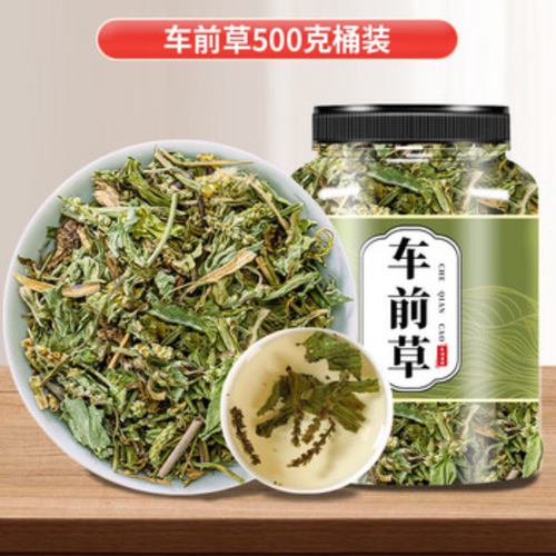 车前草野生干货泡茶干货新鲜纯天然整株车前草泡水喝新鲜干货养生