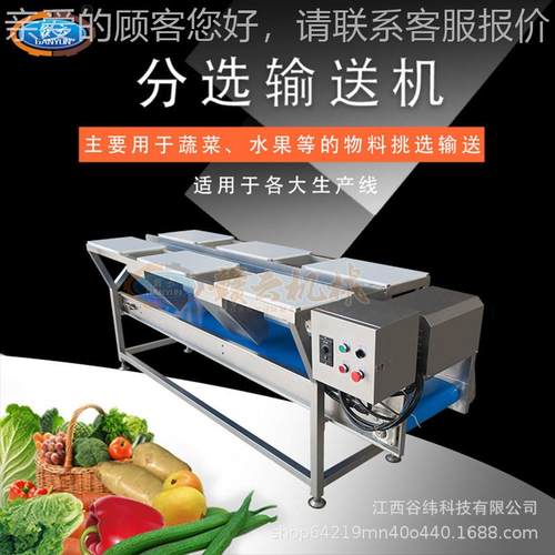 备牌六工位双分选机多层功能果蔬挑选输送设用HNM商不锈钢全自动