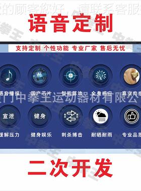杀力器26616测力硅宣胶假人拳击测力器击打发声仿刺真泄人力测量