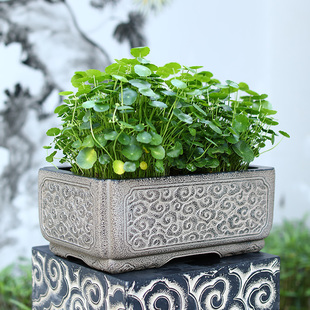 汉韵堂长方形绿植花盆阳台装饰长条绿萝水培户外花槽庭院花园布置