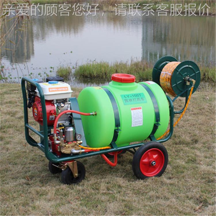 农194用推高 压喷雾器300L自手动收管绿打药机 园林化消杀喷雾器