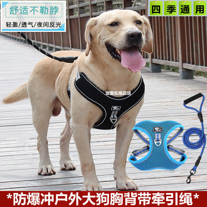 狗狗胸带防爆冲牵引绳可调节中大型犬金毛萨摩耶遛狗绳15斤40斤70