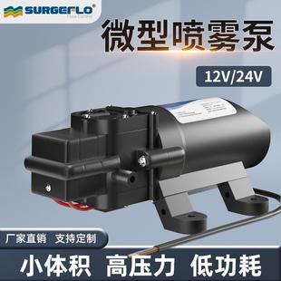 2202A高压喷雾泵厂家直销微小型电动隔膜泵可乐饮料机增压水泵