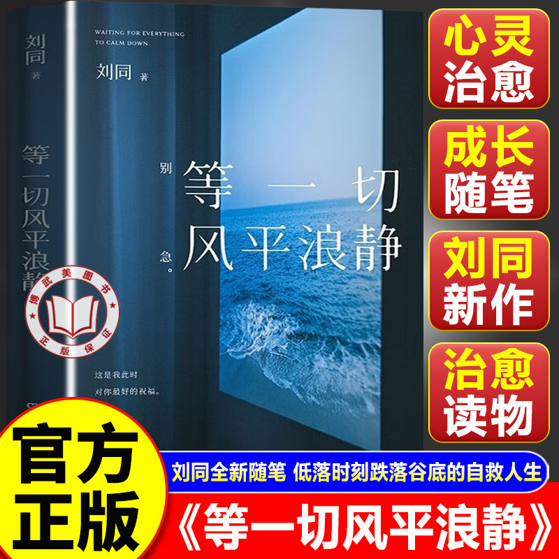 【官方正版】等一切风平浪静 等一切风平浪静刘同新书 写给不想放弃的人