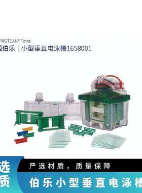 BIO-RAD伯乐垂直电泳槽1658001 数量99 短玻璃板10.1x7.3