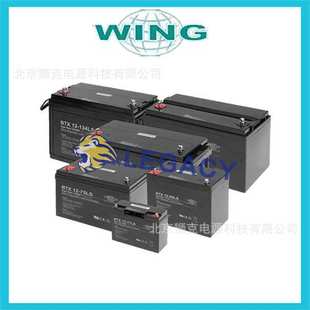ES40 免维护蓄电池 12V40AH 价格优惠 vds 德国WING蓄电池