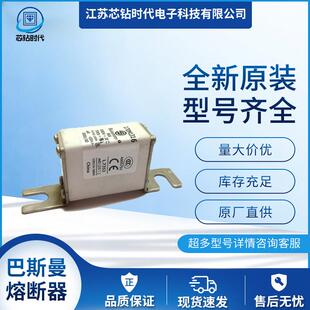 170M1317 170M1319巴斯曼熔断器BUSSMANN保险丝 170M1318