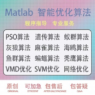 matlab路径规划代编遗传蚁群nsga算法车辆路径优化python强化学习