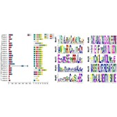 植物基因家族 motif 分析