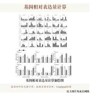 基因相对表达量计算 显著性分析加绘图
