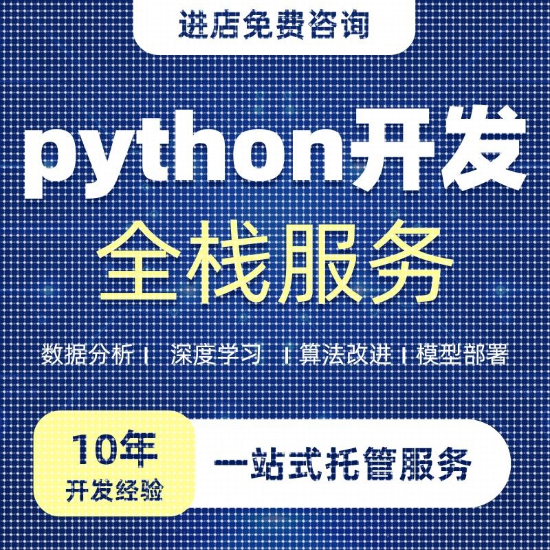 python代码编写程序开发计算机程序设计项目大模型标注数据