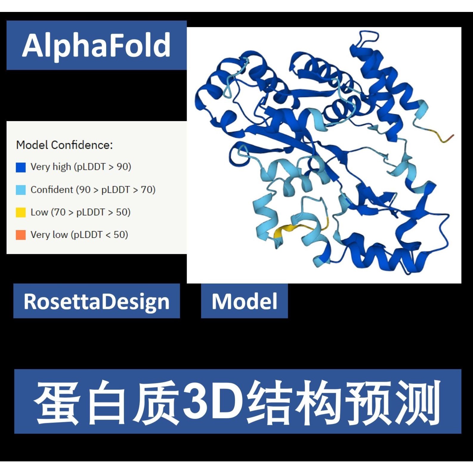 分子对接 药物虚拟筛选Pymol作图autodock vina DS金属酶柔性对接图片