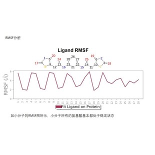 蛋白 分子动力学服务 分子动力学模拟 分子动力学计算