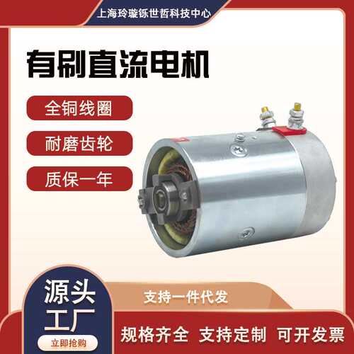 供应玲璇牌汽车尾板电机升降平台汽车尾板有刷电机直流串励电机