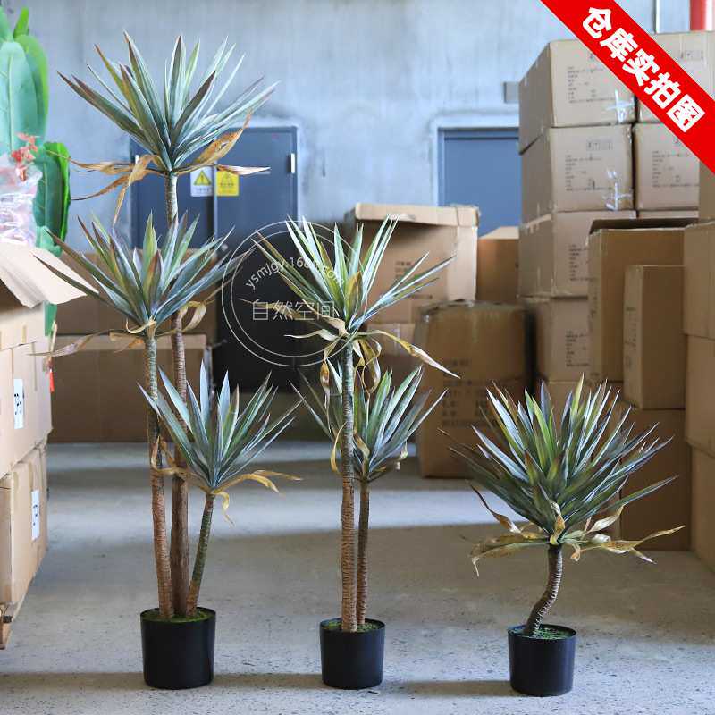 餐厅民宿沙生植物景观造景仿真植物绿植盆栽假树橱窗装饰沙漠植物