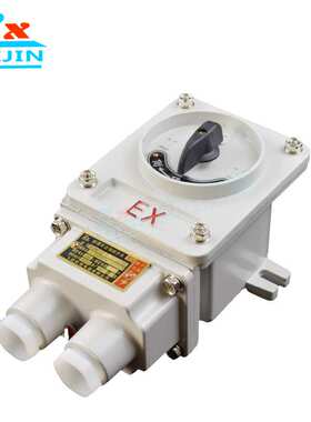 防爆倒顺开关 防爆转换倒顺开关 防爆逆转开关BXQN-10A 30A 60A