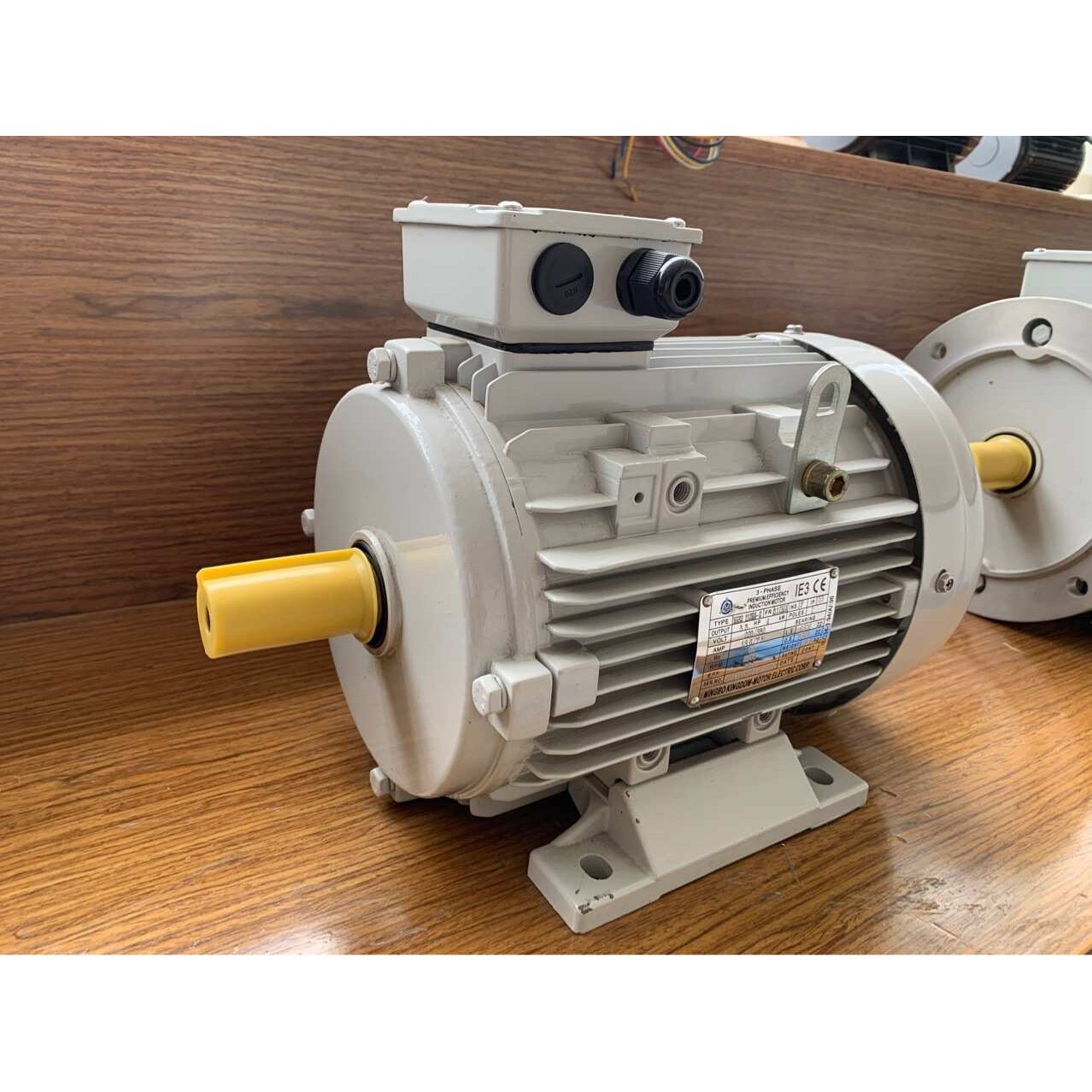 南京高崎电机KINGDOM-Motor化工泵磁力泵专用3HP2P立式IE3短轴