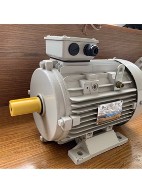 南京高崎电机KINGDOM-Motor化工泵磁力泵专用3HP2P立式IE3短轴