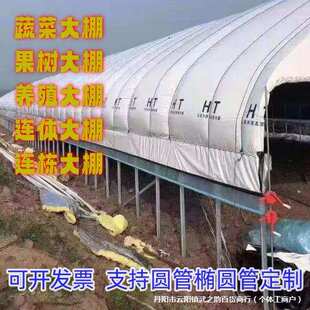 钢架大棚骨架种植养殖冷暖连体栋棚镀锌圆管椭圆全一整套保温棚室