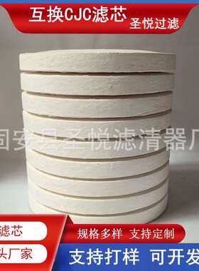 滤油机油滤清器PA5601348 BK27/27西西延森滤芯