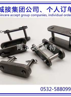 DBC东宝防锈滚子链条2040VRP 2050VRP 2060VRP滚子链条03