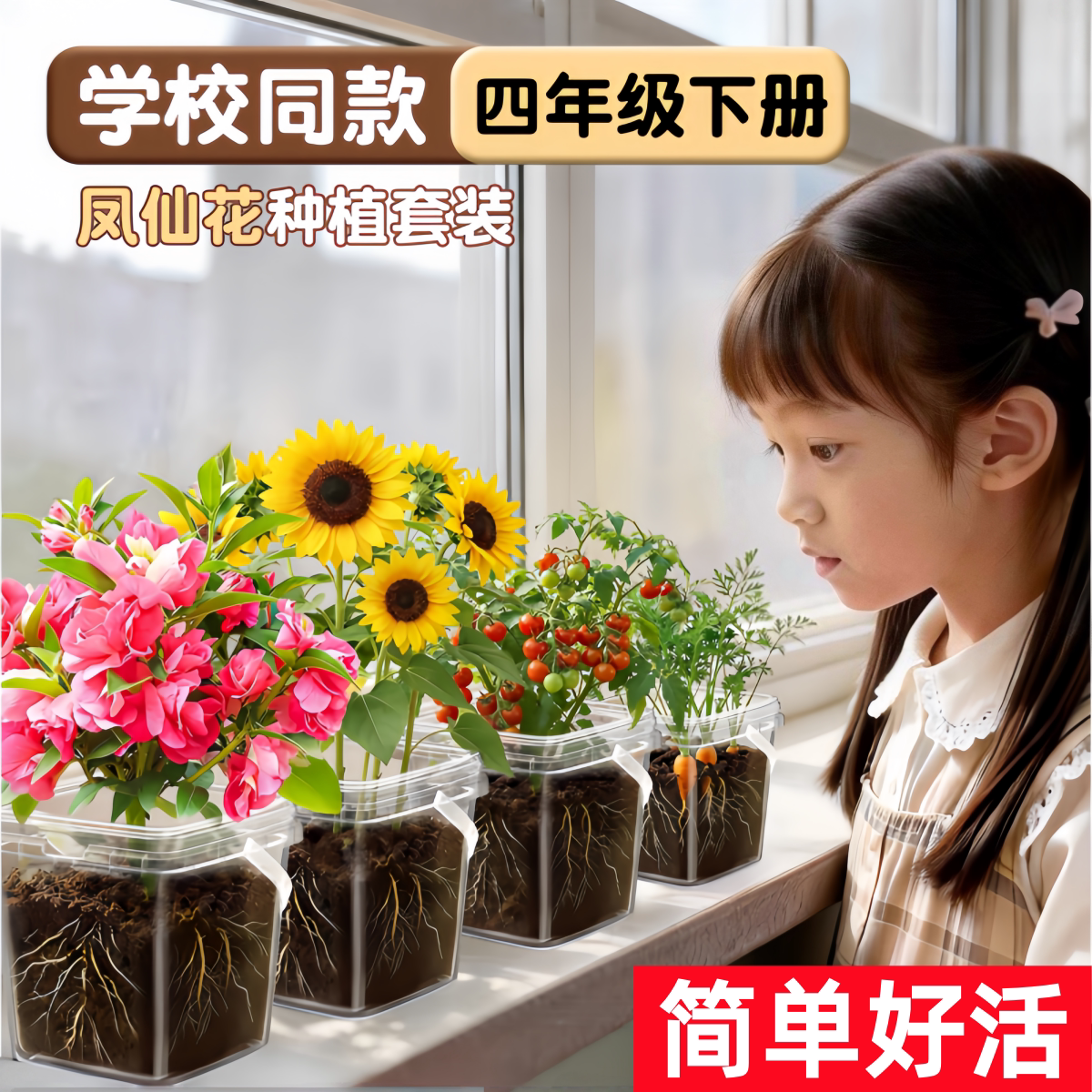 迈溏凤仙花种子儿童种植套装向日葵花籽盆栽券后2.2元