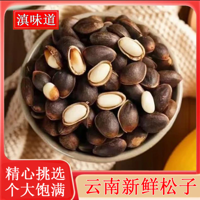 云南生松子新鲜原味大颗粒