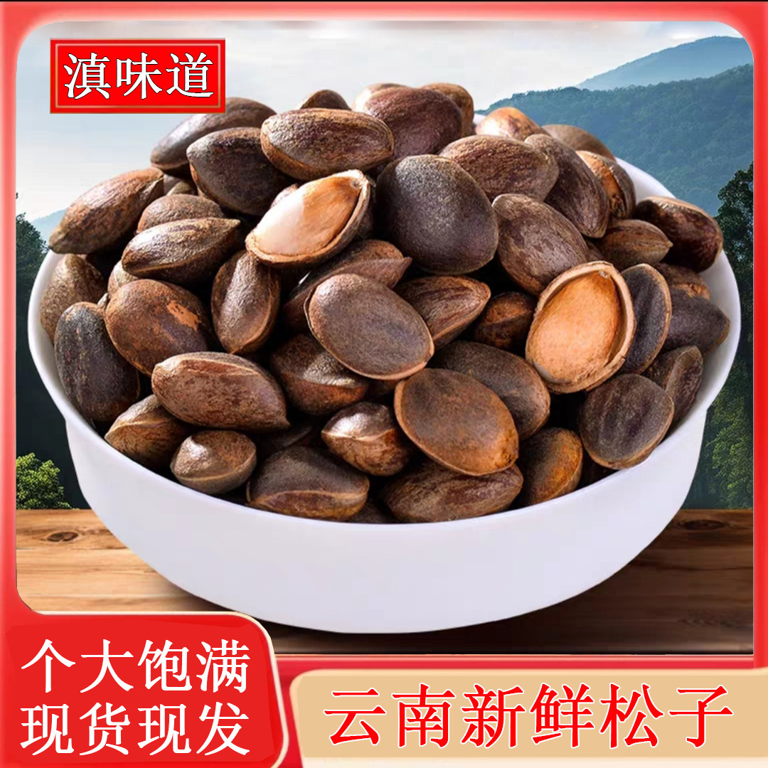 （不送夹子）云南新鲜生松子原味手剥散装颗粒非巴西松子孕妇零食