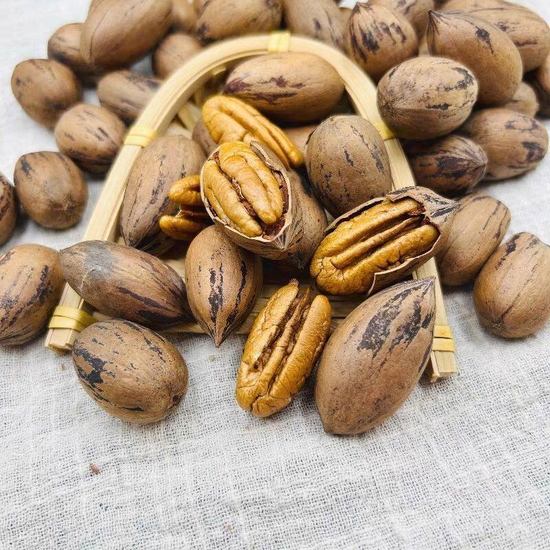 2026云南新货碧根果未加工原味坚果美国山核桃长寿果