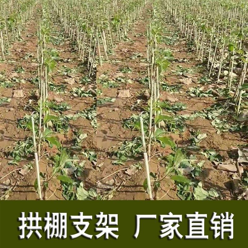 【20支装】家用农用菜棚花棚保温棚实心大小拱棚支架棚架棚杆拱条