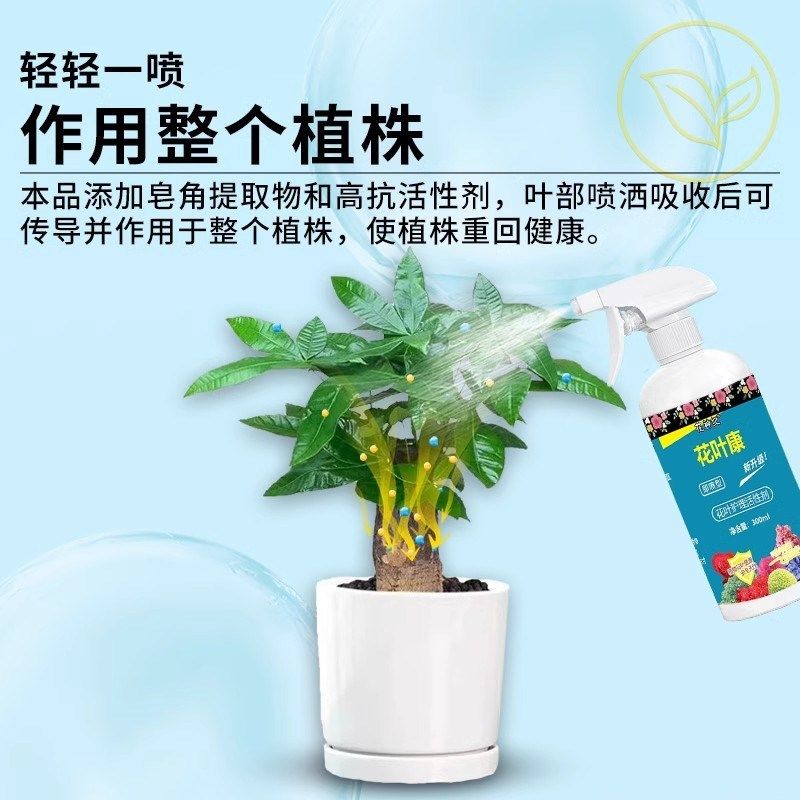 【下单立减50】花叶护理营养剂观叶观花植物园艺植物通用J,鲜花速递/花卉仿真/绿植园艺,家庭园艺肥料,淘宝优惠券,粉丝福利购,淘宝优惠卷