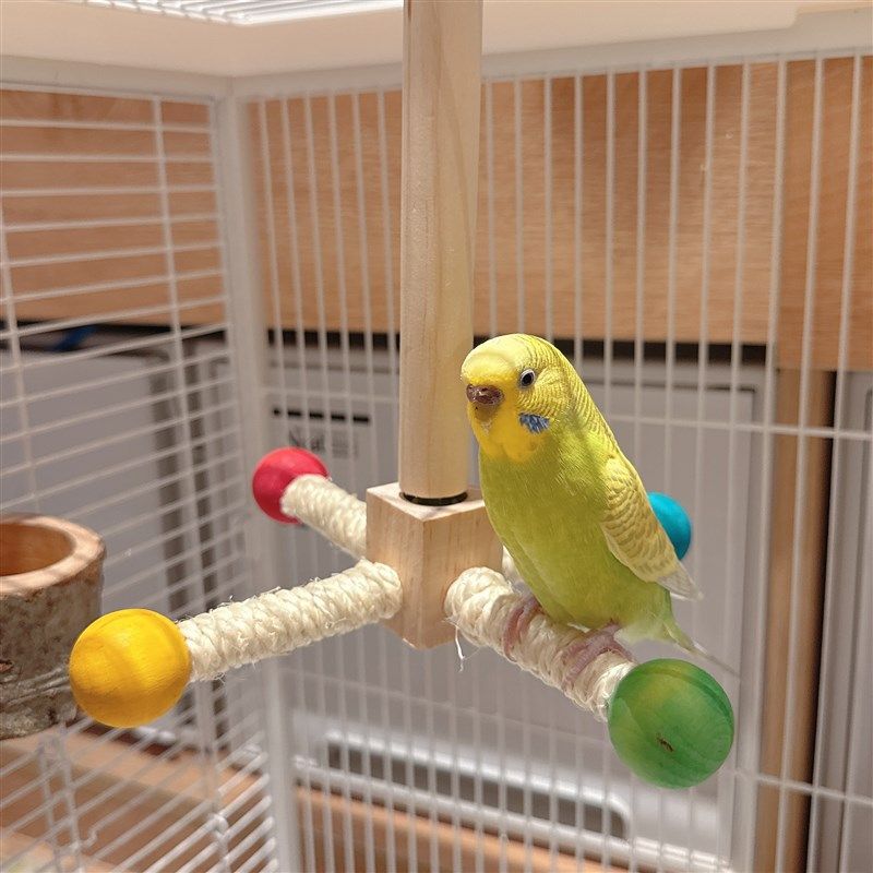 鹦鹉旋转木马玩具解压娱乐自嗨彩虹风车牡丹虎皮玄凤鸟笼站架站杆,宠物/宠物食品及用品,鸟玩具,淘宝优惠券,粉丝福利购,淘宝优惠卷