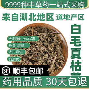材店铺特级野生白毛夏枯草 筋骨草 苦草干 50g新货