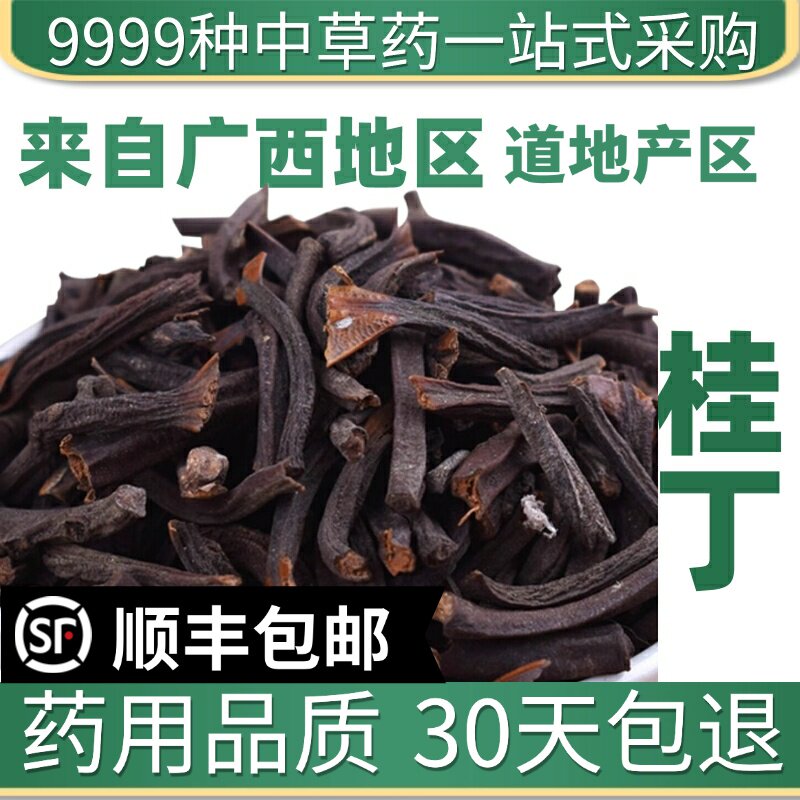 材特级精选桂丁 桂籽肉桂子 新货桂籽 药用香料 50克