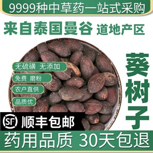 材特级野生葵树子葵扇子葵扇籽葵树籽蒲扇子蒲葵子50g新
