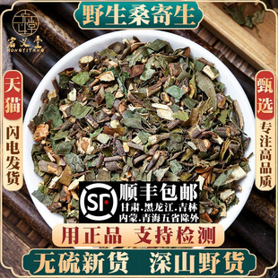 野生桑寄生500g250g100g桑寄生材桑寄生泡茶梧州桑寄生粉