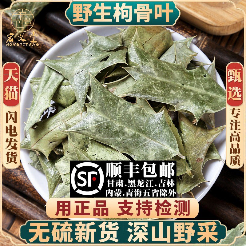 野生枸骨叶500g250g100克材狗青羊角刺老鼠刺猫儿刺八角刺