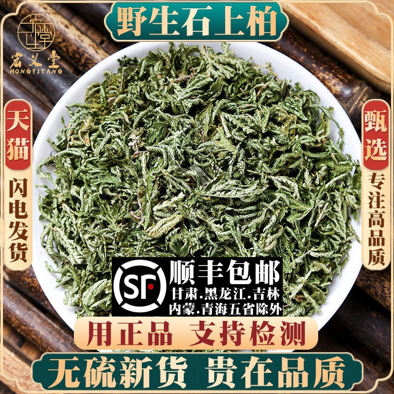 野生石上柏500克250g100g材深绿卷柏梭罗草地梭罗薄叶龙鳞草