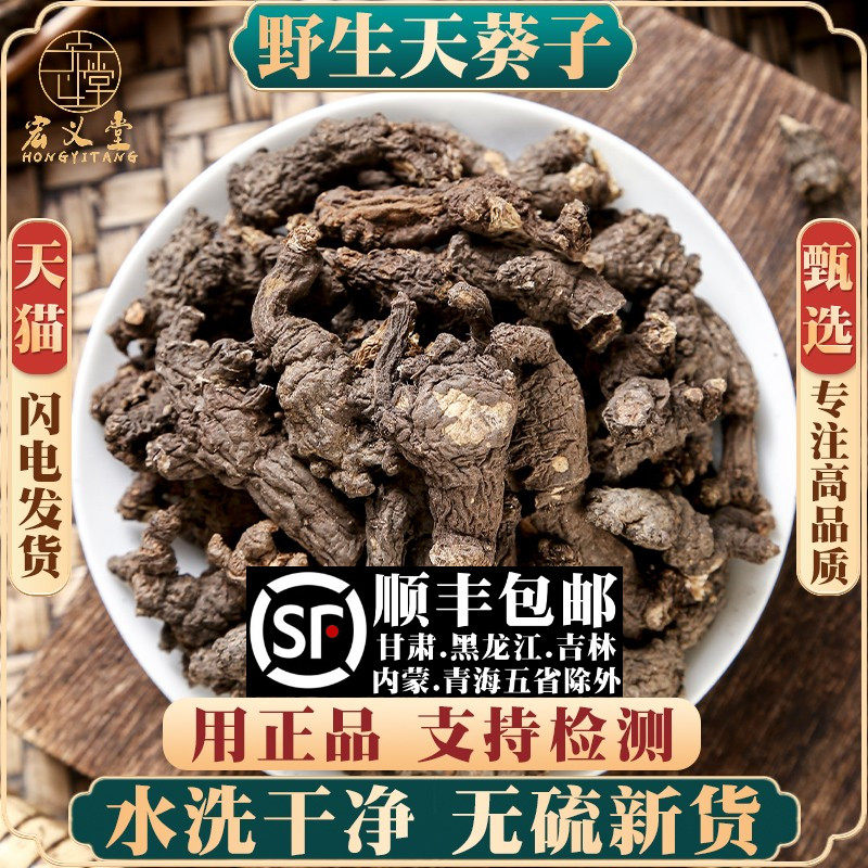 野生天葵子500g250g100克材天葵水洗天葵子紫背天葵无硫