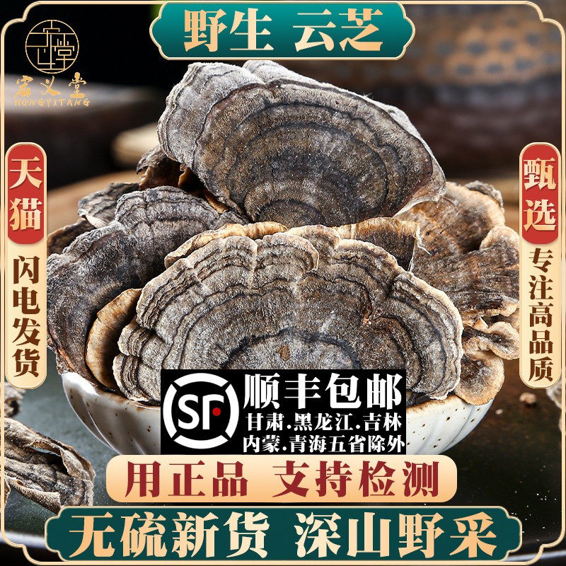 云芝材新货 正宗天然无硫云芝蘑可磨云芝粉500克