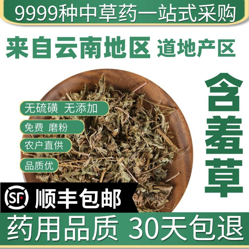 材特级野生含羞草 怕羞草 感应草 怕丑草50克 中草药