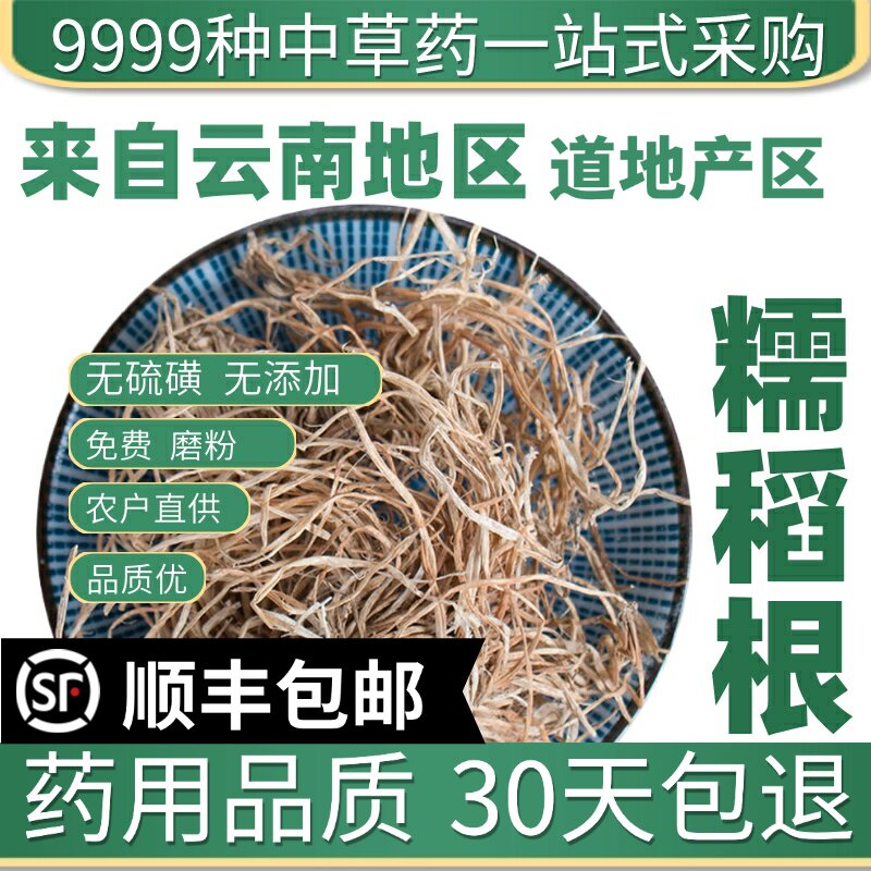 野生特级糯稻根材50克g新货糯米根干净纯根糯谷根须草根
