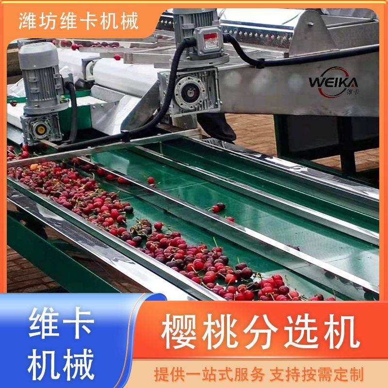 大樱桃预冷清洗风干分选流水线 非标在线称重分拣机 小柿子分级机