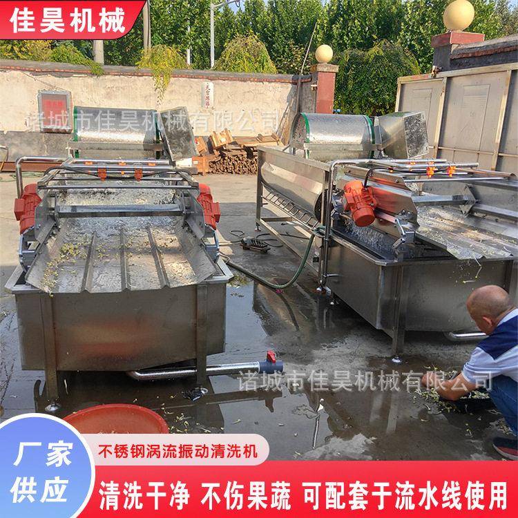 食堂商用洗菜机多功能蔬菜臭氧消毒涡流果蔬清洗机气泡清洗机生产