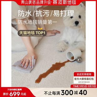 青防客厅风 污宿感月轻奢高级白地毯美简约奶油卧室光山防水法式
