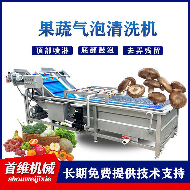 果蔬商用气泡清洗机余甘子清洗机连续式鲜毛桃黄桃翻浪清洗设备